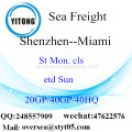 Shenzhen poort zeevracht verzending naar Miami